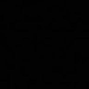 Meet your Posher, Fiorella